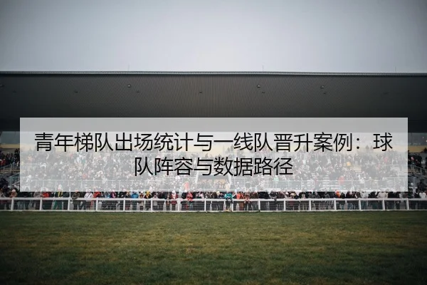 qing-nian-ti-dui-chu-chang-tong-ji-yu-yi-xian-dui-jin-sheng-an-li-qiu-dui-zhen-rong-yu-shu-ju-lu-jing-2-600.jpg